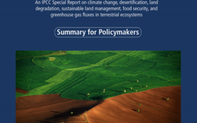 IPCC study highlights the role of sustainable forest management for climate adaptation