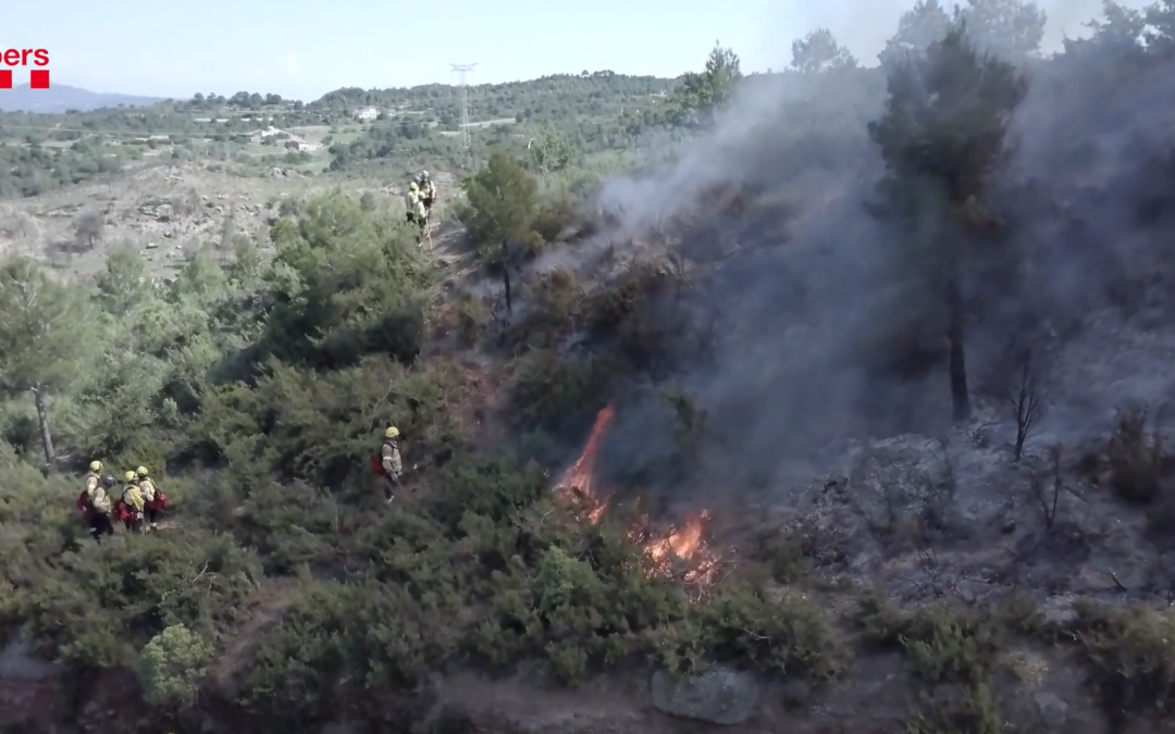 How to manage forest wildfires – Resilient Forests Coordinators featured in documentary by Spanish El Pais