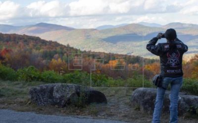 Una herramienta europea mejorará la gestión y la rentabilidad de los bosques