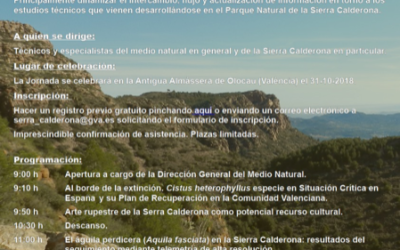 Workshop: Natural Park Sierra Calderona