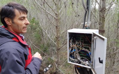 LIFE RESILIENT FORESTS receives visit of the project monitor from the European Commission
