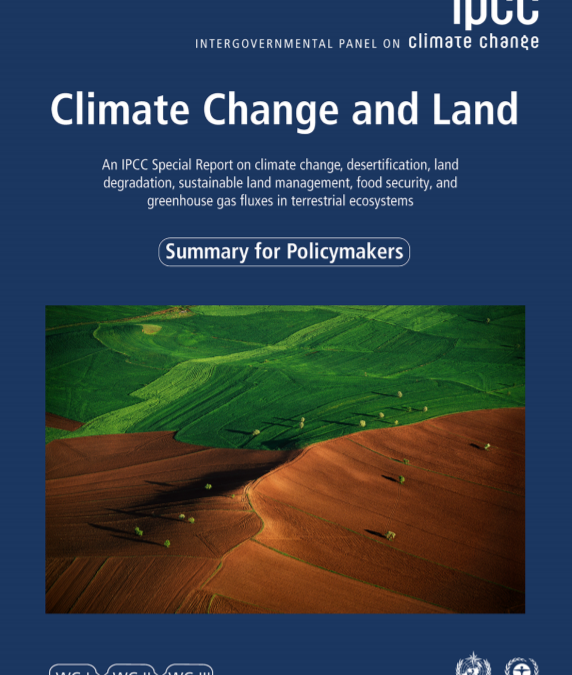 IPCC study highlights the role of sustainable forest management for climate adaptation