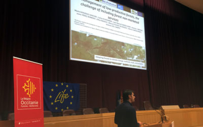 RESILIENT FORESTS  activities presented at  International Symposium on Climate Change and Forests