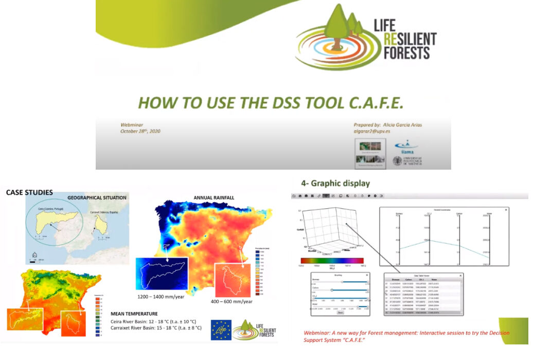 How to better manage your forest? The second RF webinar