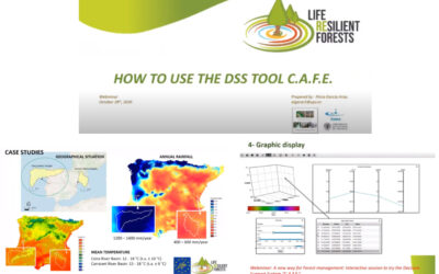 How to better manage your forest? The second RF webinar