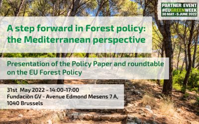 A step forward in Forest Policy: the Mediterranean perspective