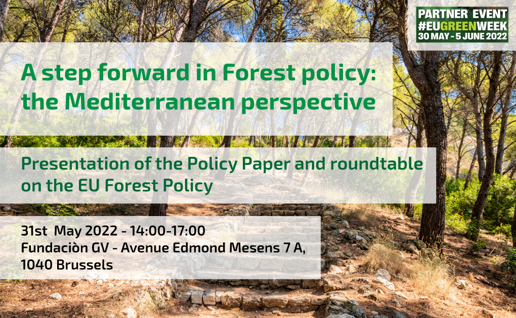 A step forward in Forest Policy: the Mediterranean perspective