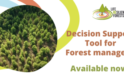 Decision Support System for Forest Managers finally available
