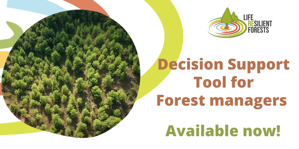 Decision Support System for Forest Managers finally available