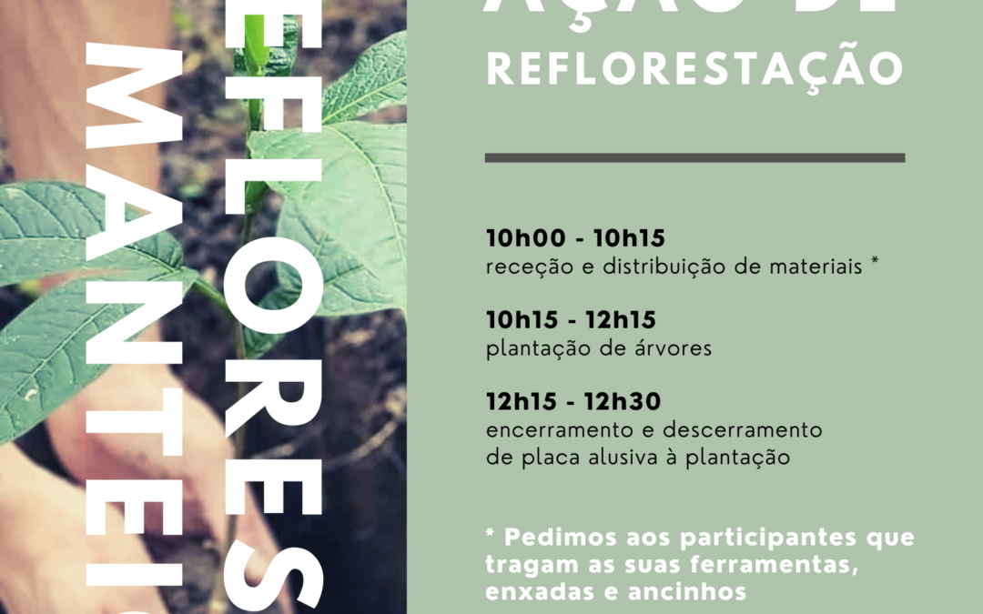Reforestation Action in Portugal!